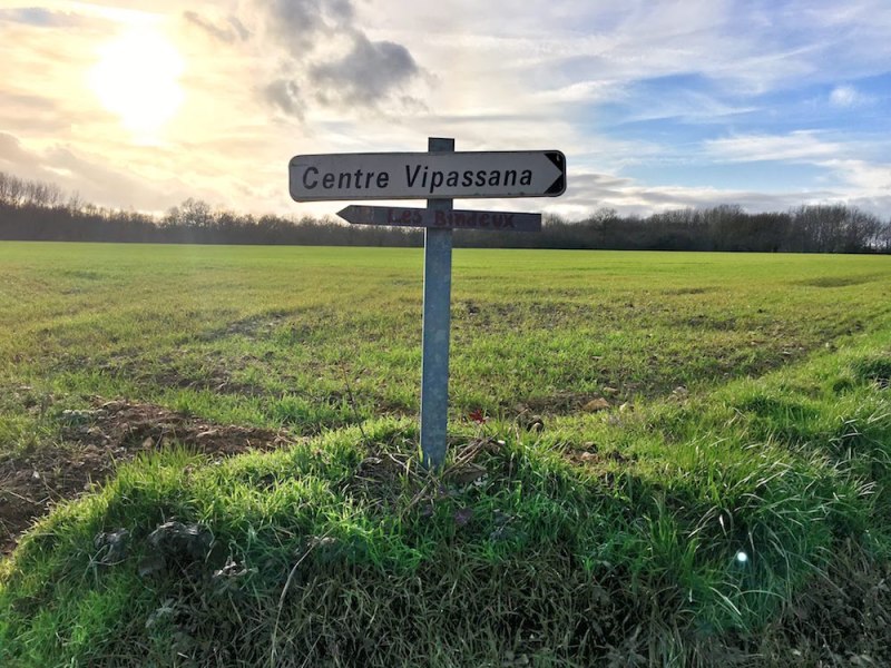 2020: The Year of&nbsp;Dhamma