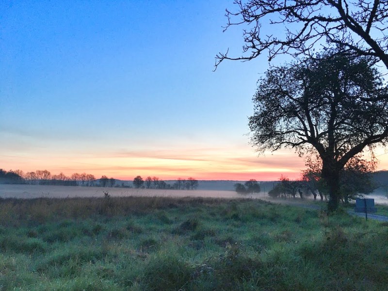 20 days in the deepness of my inner&nbsp;self