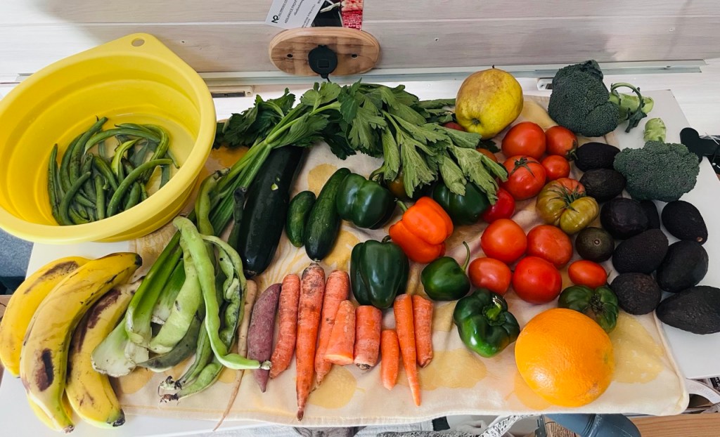 Fruits and vegetables picked up dumpster diving