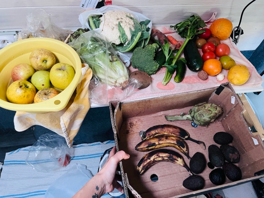 Fruits and vegetables picked up dumpster diving